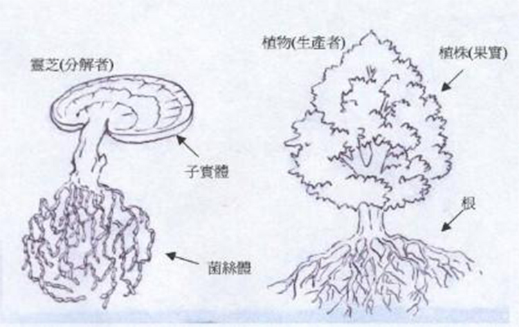 南宫28生活史